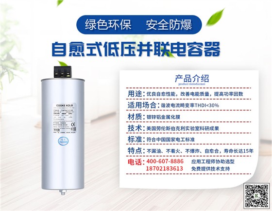 自愈式低壓并聯(lián)