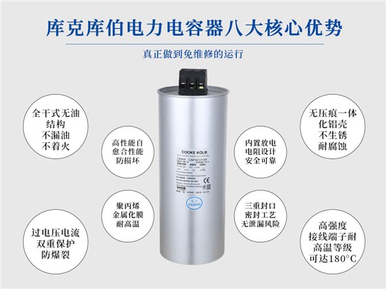 電力補(bǔ)償電容器4