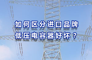 從技術(shù)、安全系數(shù)、符合中國電網(wǎng)三方面區(qū)分進口品牌低壓電容器好壞？