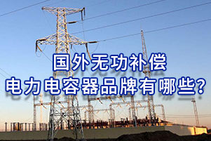 國外無功補(bǔ)償電力電容器品牌有哪些？
