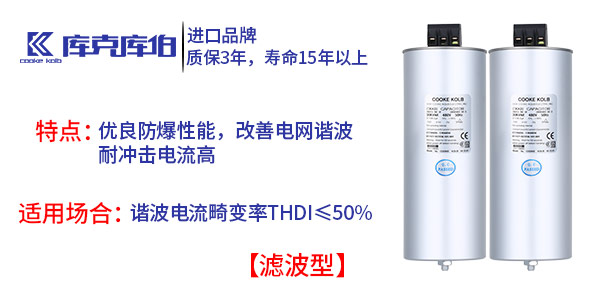 濾波型自愈式電力電容器