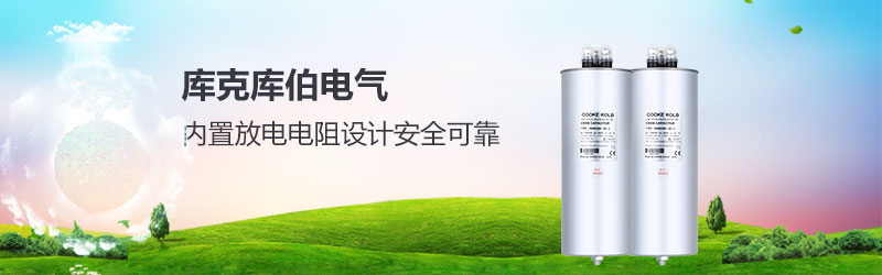 CKKB電力電容器-節(jié)能降耗的利器