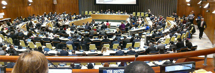 聯(lián)合國(guó)新能源和可再生能源會(huì)議