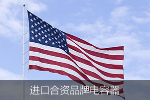 進(jìn)口電容器之進(jìn)口合資品牌電容器 進(jìn)口電容器之進(jìn)口合資品牌電容器