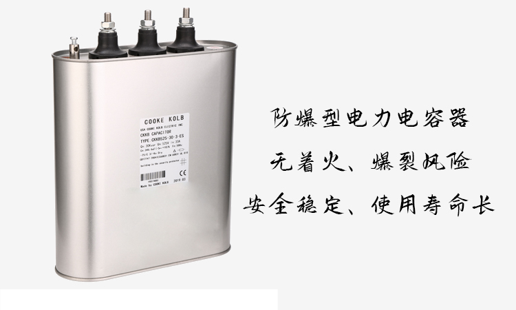 防爆型電力電容器
