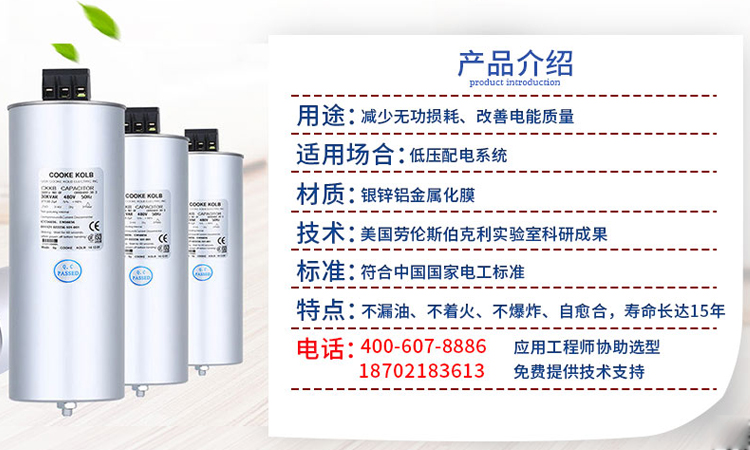 庫克庫伯并聯(lián)電力電容器