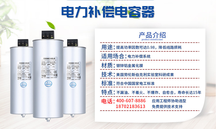 簡(jiǎn)單介紹充氣型自愈式電容器性能特點(diǎn)