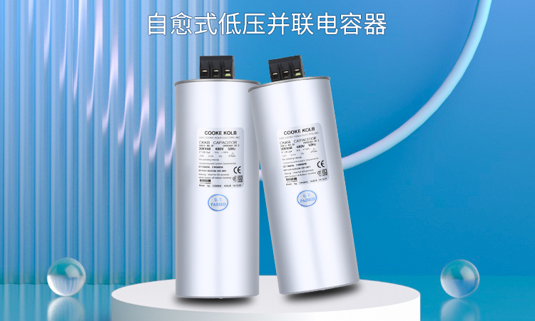 并聯(lián)電容器