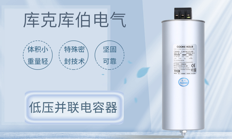 并聯(lián)電力電容器