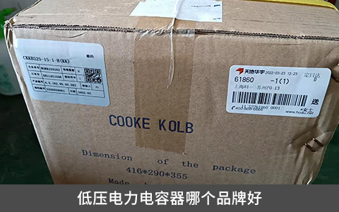 低壓電力電容器哪個(gè)品牌好