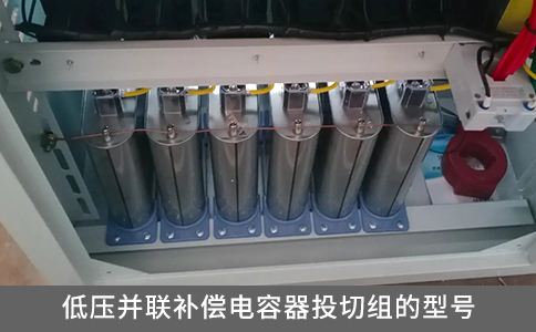 低壓并聯(lián)補(bǔ)償電容器投切組的型號