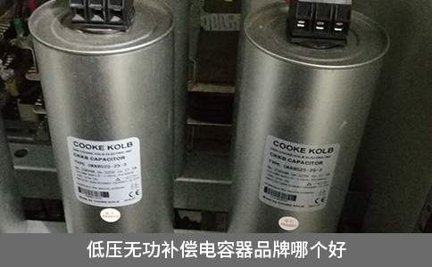 低壓無功補(bǔ)償電容器品牌哪個好