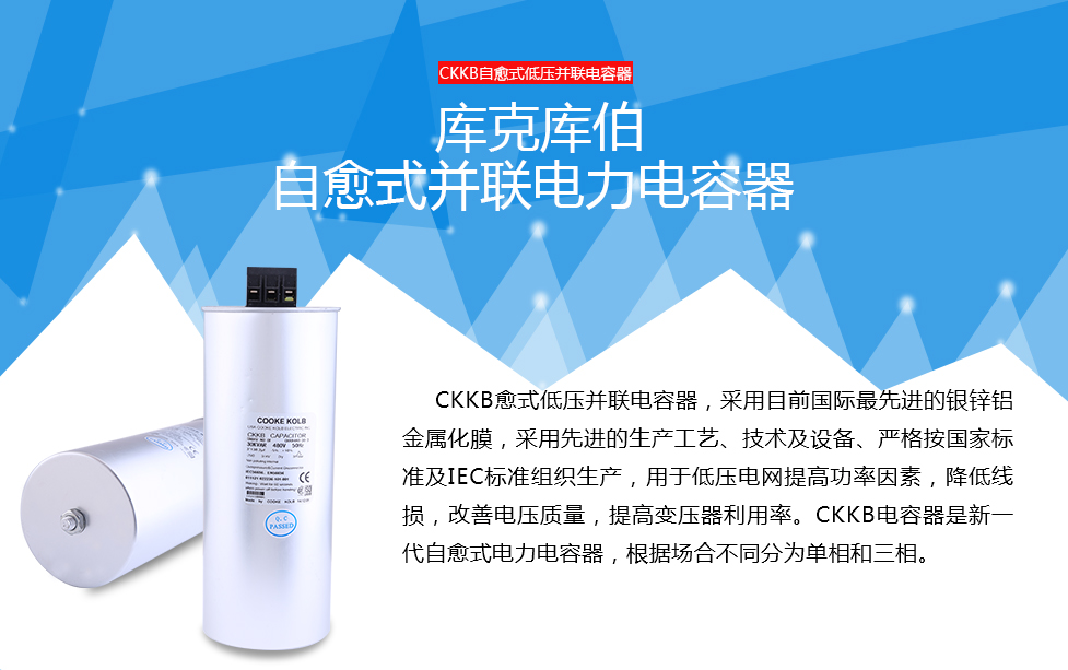 自愈式并聯(lián)電容器-庫克庫伯