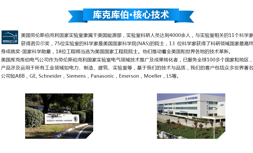 自愈式低壓并聯(lián)電容器-庫克庫伯
