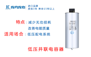 低壓并聯(lián)電力電容器