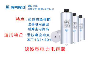 濾波型電力電容器
